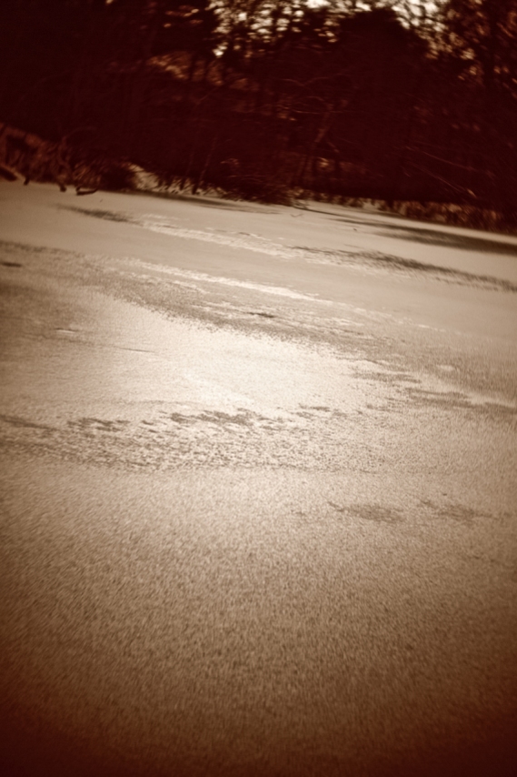 A frozen pond in Wellesley, MA.
